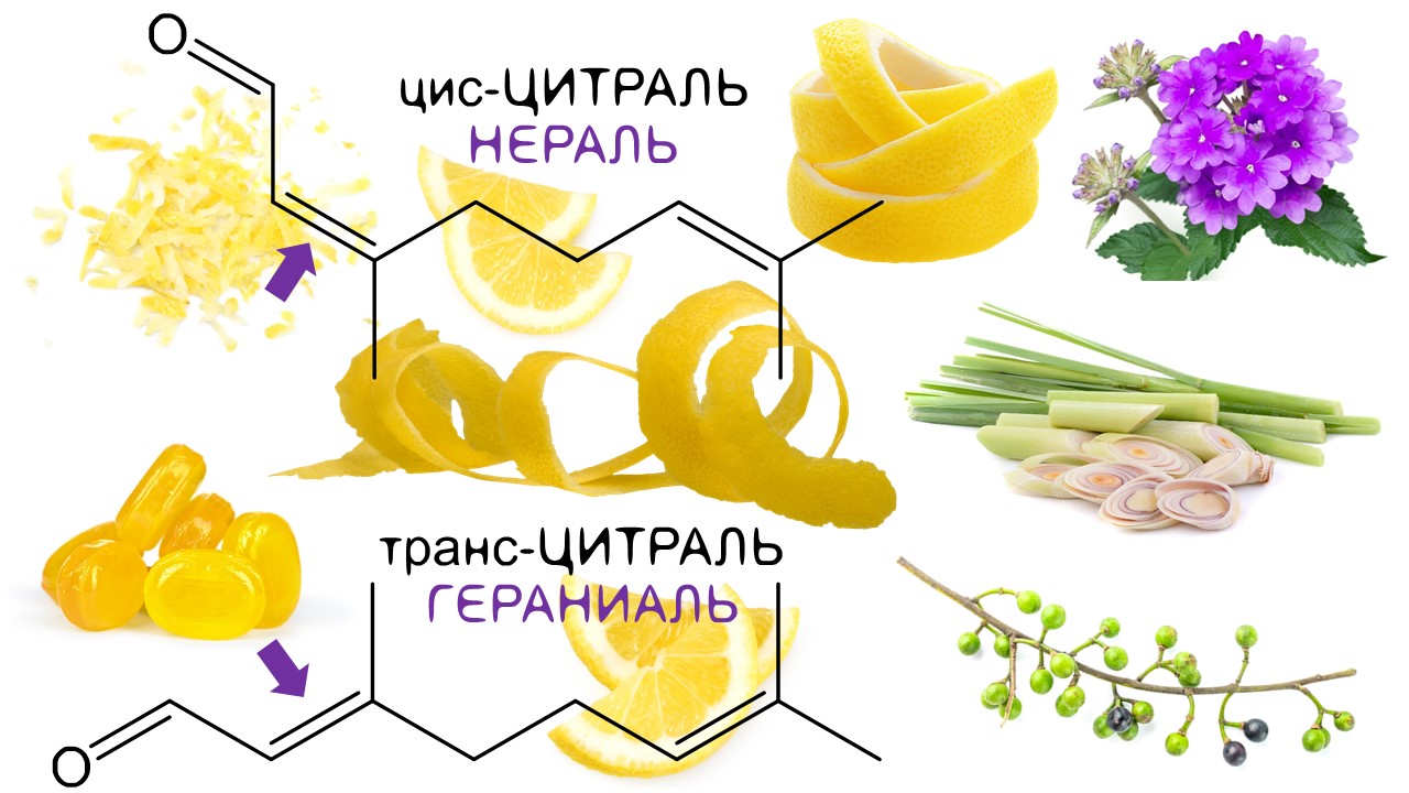 Базилик в легендах, кулинарии и парфюмерии ~ Аромахимия