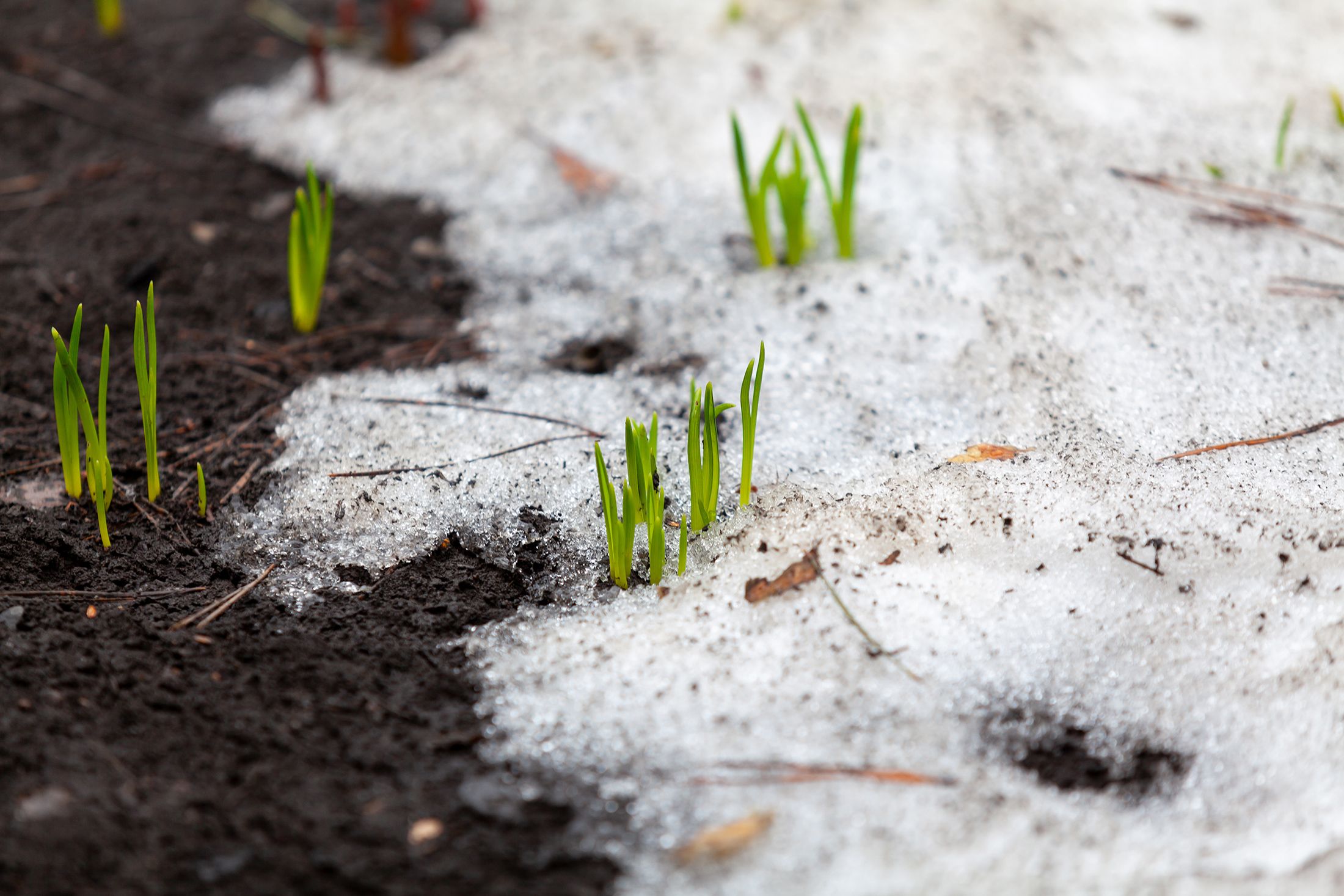 march snow
