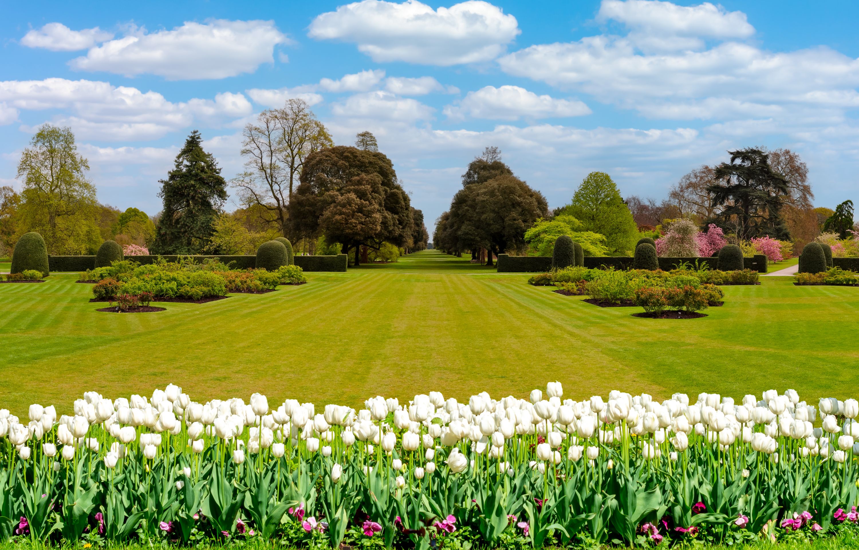 Violette Kew – новый аромат от Le Jardin Retrouvé ~ Обзоры ароматов