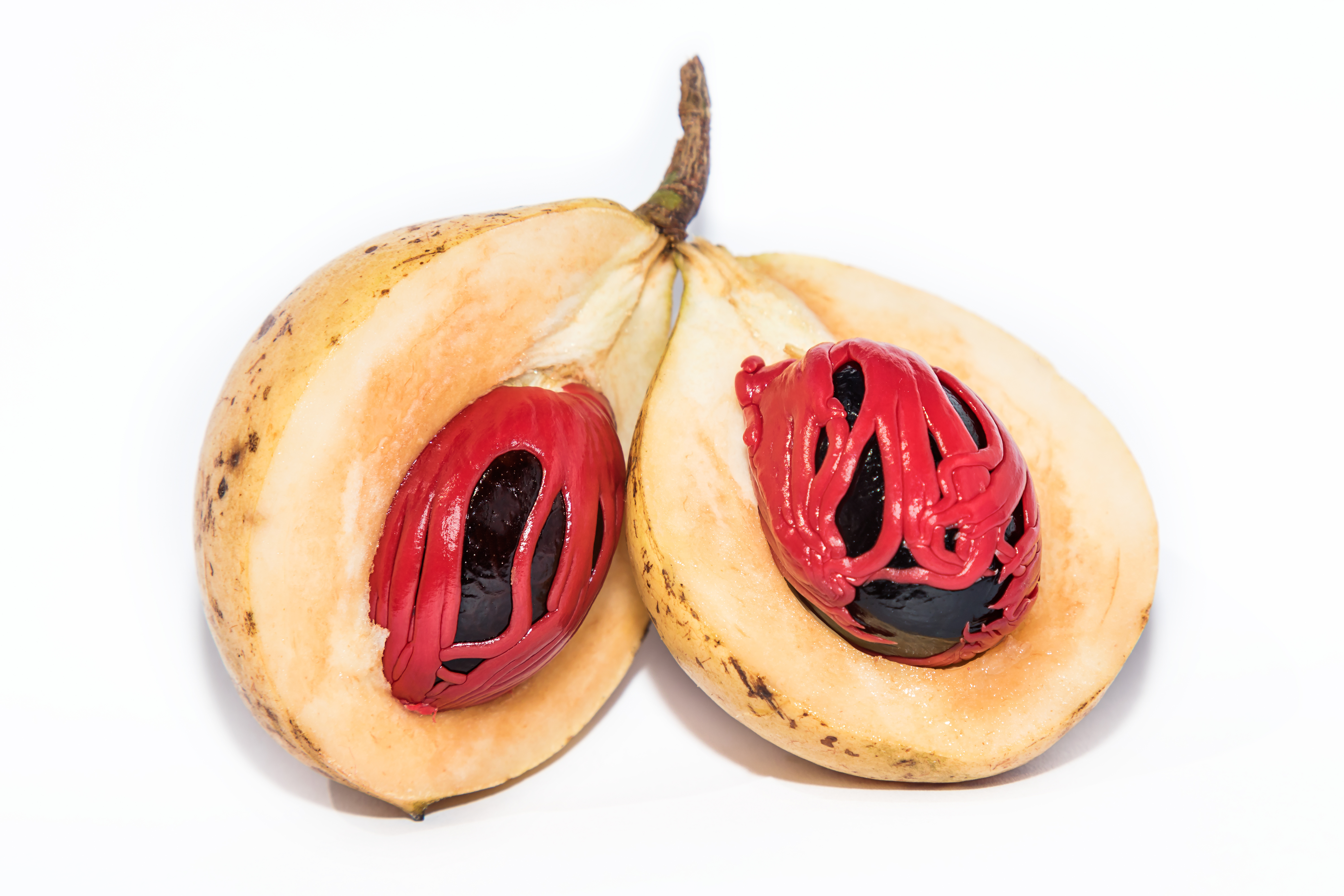La noix de muscade couramment - Benin Fruits & Fleurs