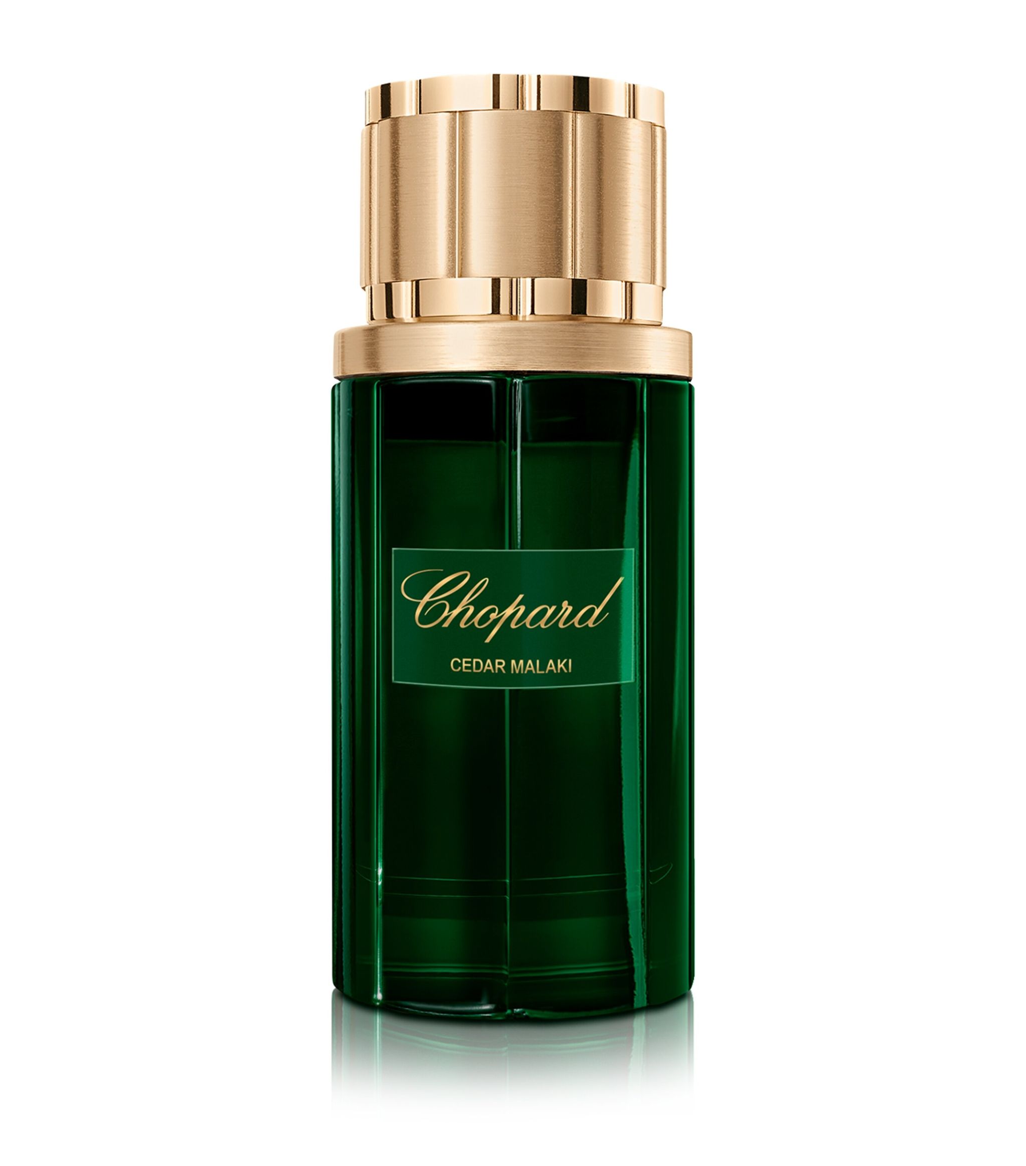 chopard cedar malaki