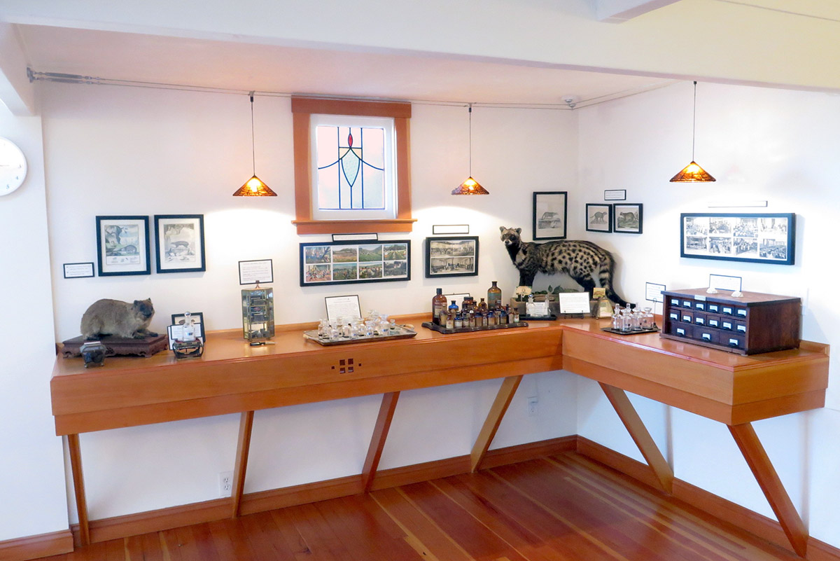 Mandy Aftel präsentiert 26 exquisite neue Perfumer's Botanicals