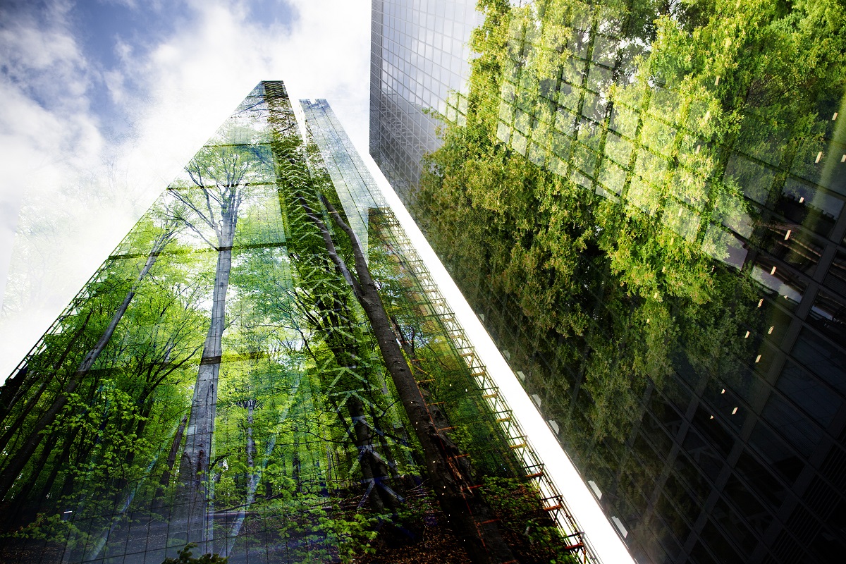 urban nature