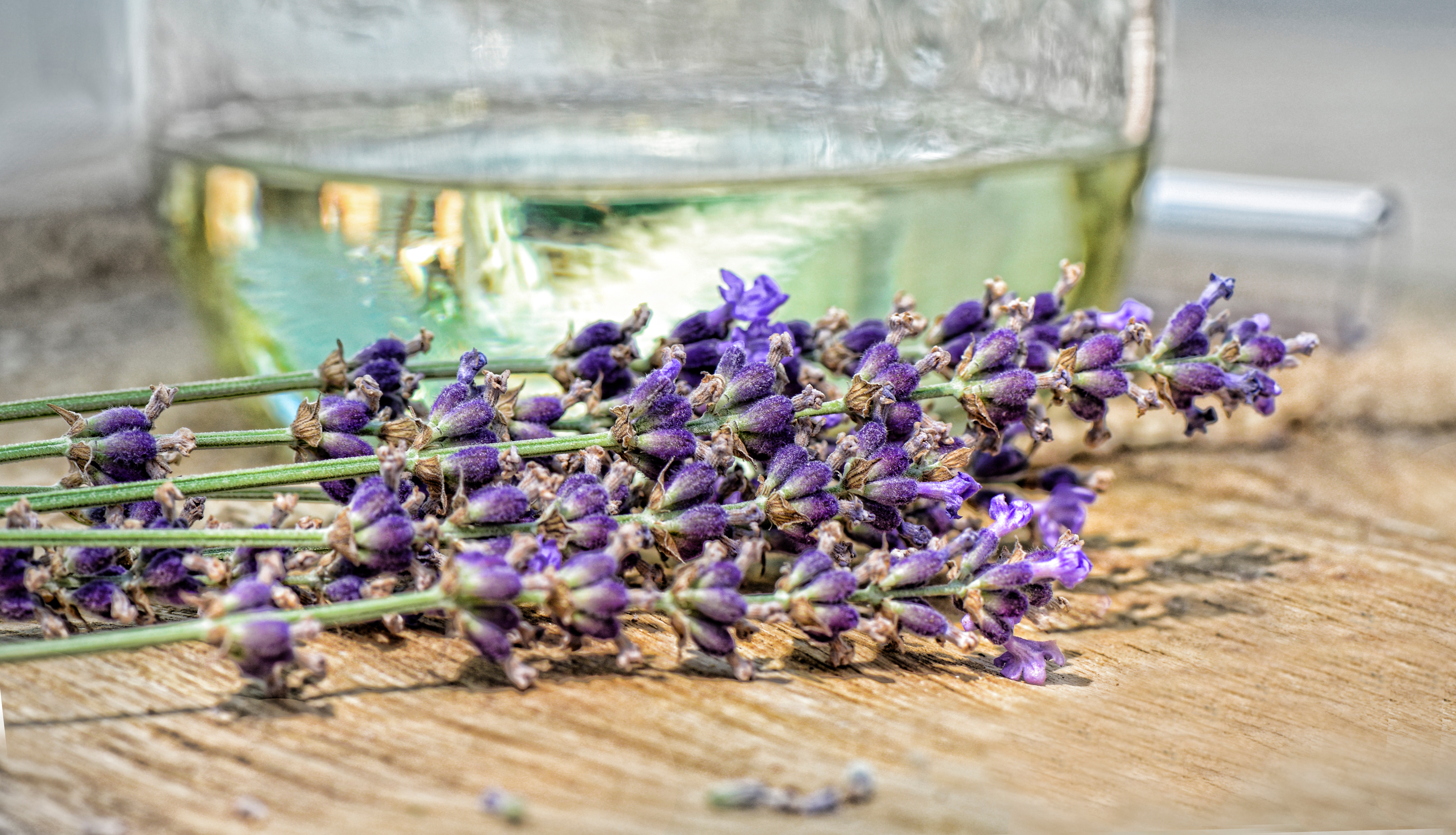 lavender