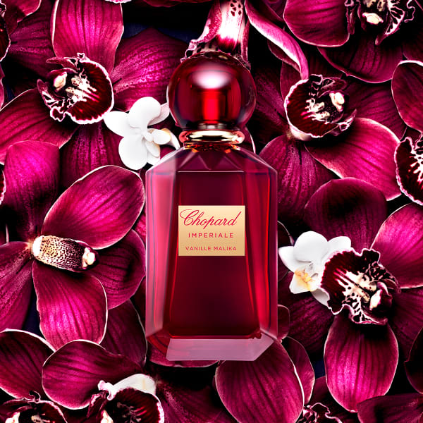 Chopard Imperial Vanilla Malika Nouveaux Parfums