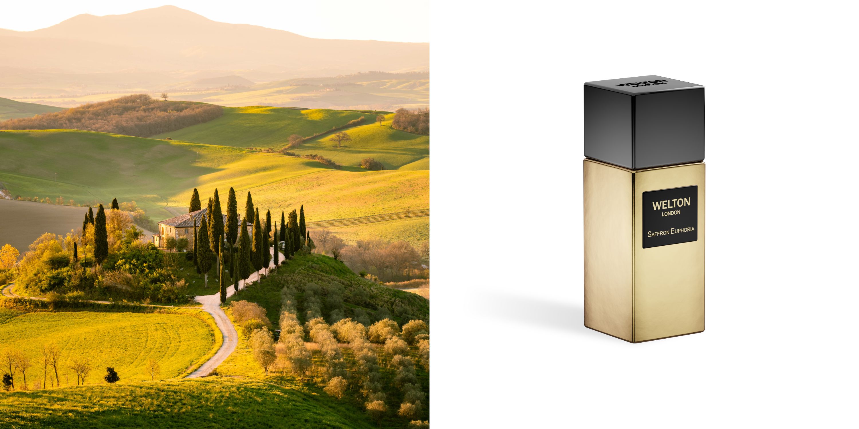 ESXENCE 2024 Welton London تقدم مجموعة The Golden Elixir Collection