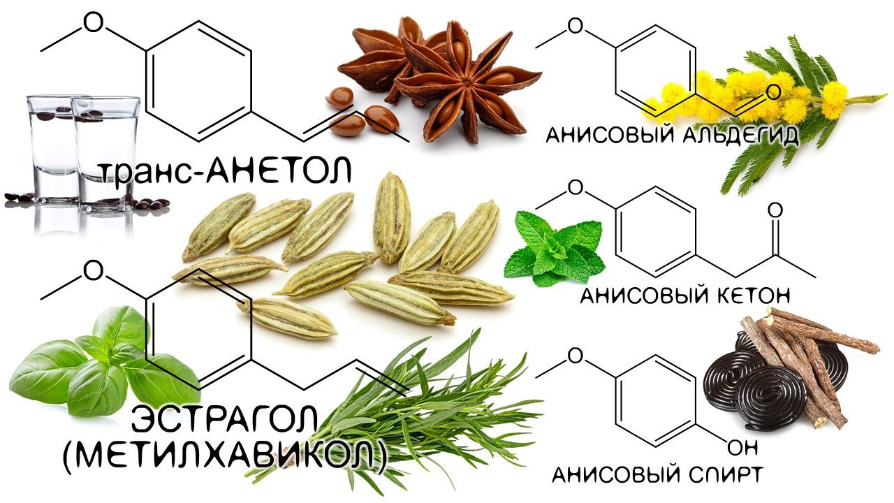 Анис, бадьян, лакрица ~ Аромахимия