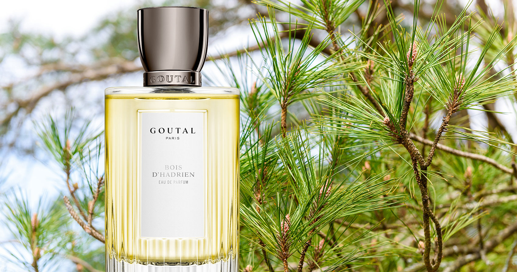 АДРИАНОВ ЛЕС GOUTAL ~ Обзоры ароматов