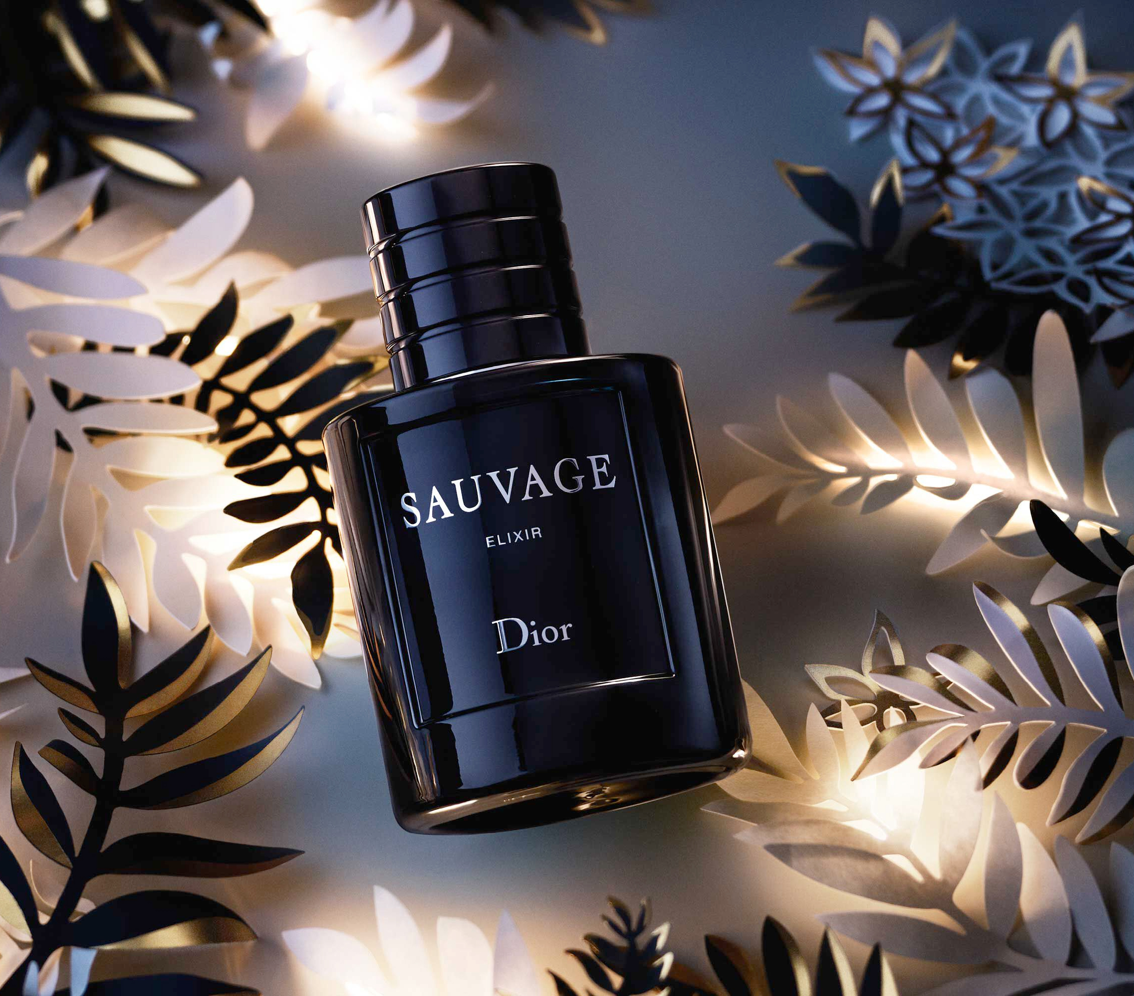 Dior Sauvage Elixir: Uma Versão Impressionante de Espuma de Alcaçuz e  Lavanda ~ Avaliação de Fragrâncias