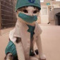 Dr.Kitty