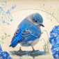 Синяя Птица Счастья
