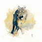 steppe_wolf