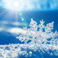 Shining_Snowflake