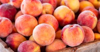 Peach's Revenge van Sarah Baker - Een nieuwe, fruitige cocktail met een donker randje
