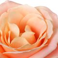 Różane perfumy dla lubiących róże Walentynek