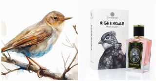 Zoologist Perfumes Nightingale: ptak, który naprawdę śpiewa