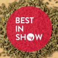 Best in Show: анис (2022)
