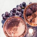 Dom Rosa и L’Ile Pourpre: два вина от Les Liquides Imaginaires