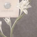 Amouage Love Tuberose: нежный белоцветочный гоголь-моголь