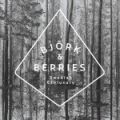 White Forest Björk & Berries: Тишина шведского леса