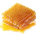 Между нами тает мед: медовые ноты в парфюмерии