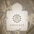 Best in Show: Amouage (2018)