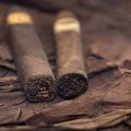 Субъективная классификация табачных ароматов 