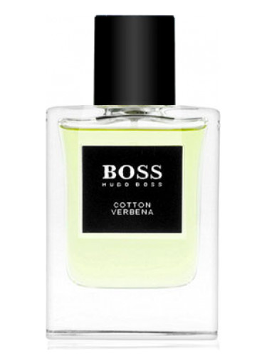 hugo boss edp the scent