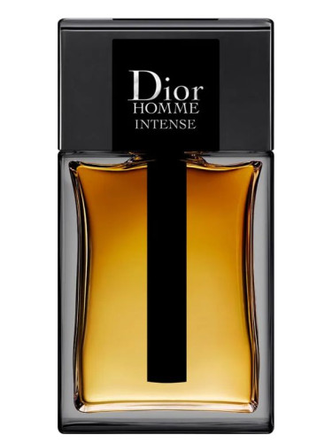 jury Werkwijze Groen Dior Homme Intense 2011 Dior cologne - a fragrance for men 2011