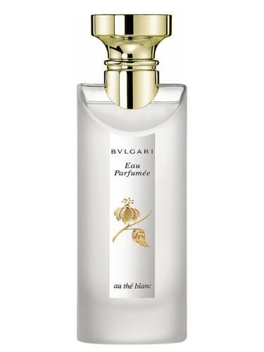 bvlgari perfume fragrantica