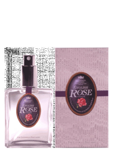 English_Rose