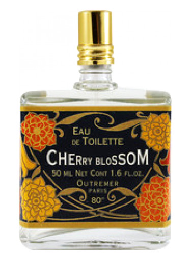 Cherry Blossom Perfume – Floral Perfume with Sweet Fruity Notes – Natural  Perfume for Women with Essential Oils – Fresh Smelling Perfume Cherry