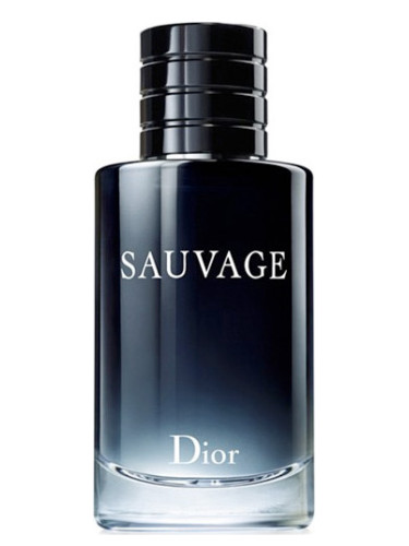 Sauvage Dior 古龙水- 一款2015年男用香水