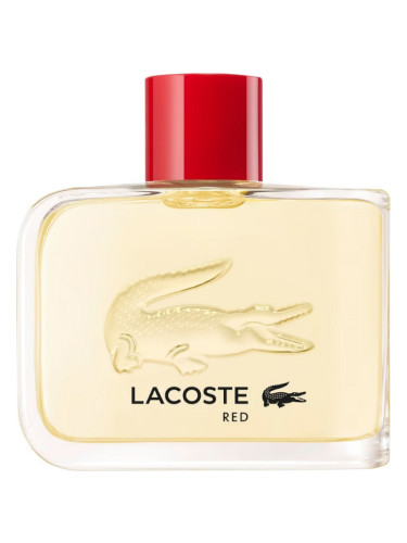 lacoste red pour homme