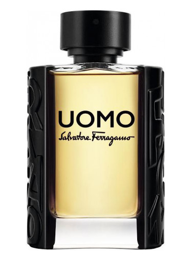 Uomo Salvatore Ferragamo Salvatore Ferragamo cologne - a fragrance for men  2016