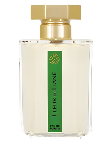 mandarina corsica artisan parfumeur avis