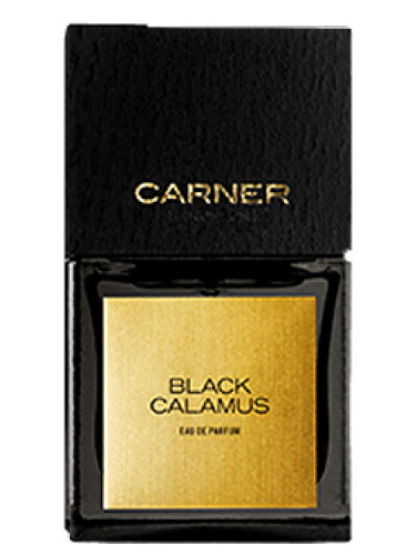 Black Calamus Carner Barcelona для мужчин и женщин