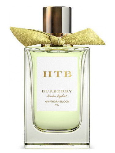 new burberry perfume