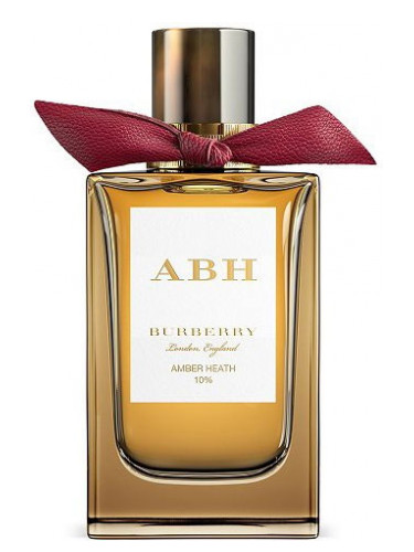 Amber Heath Burberry perfume - a 
