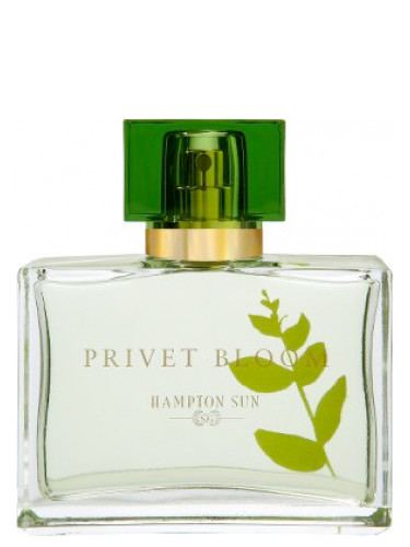 privet bloom perfume