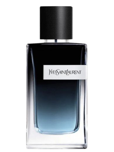 Ysl Edp Mens Online Hotsell, UP TO 58% OFF | www.aramanatural.es