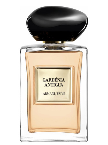 armani new women's perfume