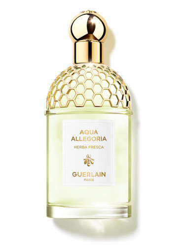 Aqua Allegoria Herba Fresca Guerlain аромат — аромат для мужчин и женщин  1999