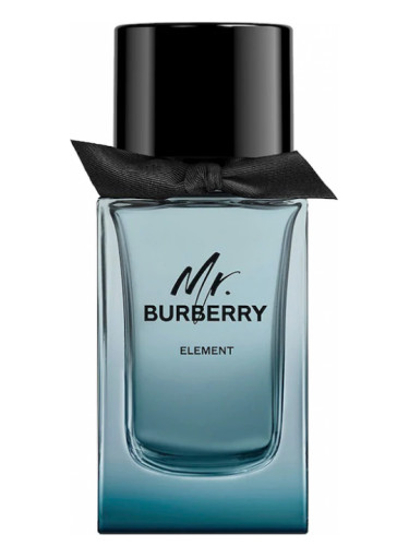 mr burberry scent