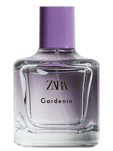 Los 7 perfumes de Zara de mujer que mejor huelen y más duran