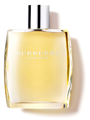 burberry cologne for men