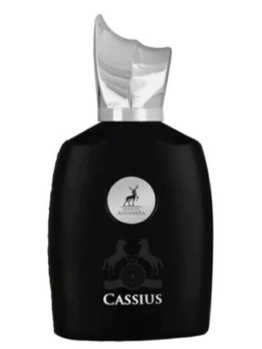 Cassius Maison Alhambra Feminino