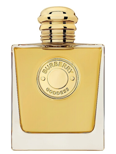 Burberry eau de parfum xtreme best sale