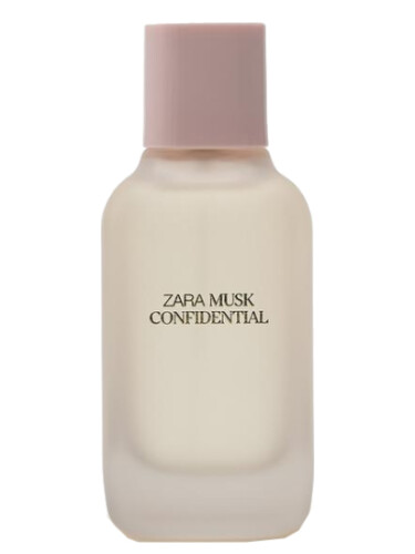 Musk Confidential Zara 2024