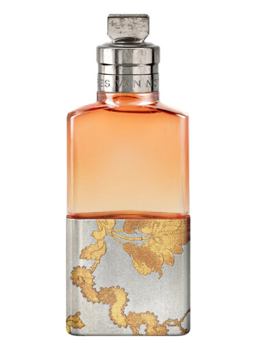 Camomille Satin Dries Van Noten parfum - un nouveau parfum pour homme et  femme 2024